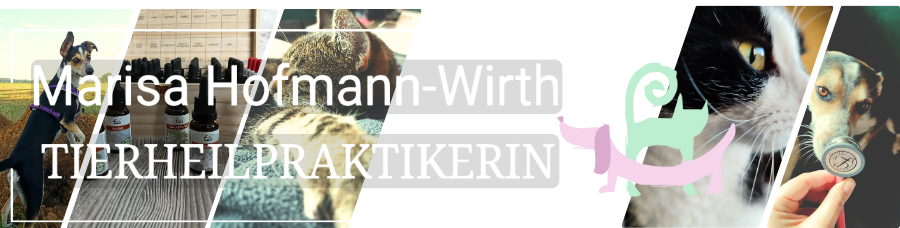 Tierheilpraktikerin Marisa Hofmann-Wirth