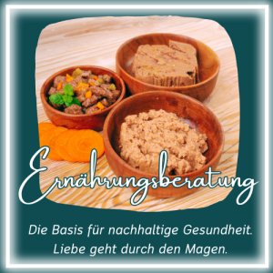 Ein Bild mit Futterschüsseln und dem Text: Ernährungsberatung, Die Basis für nachhaltige Gesundheit. Liebe geht durch den Magen.